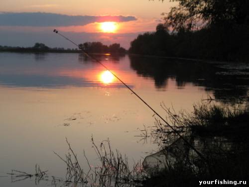 Ночная ловля леща на фидер