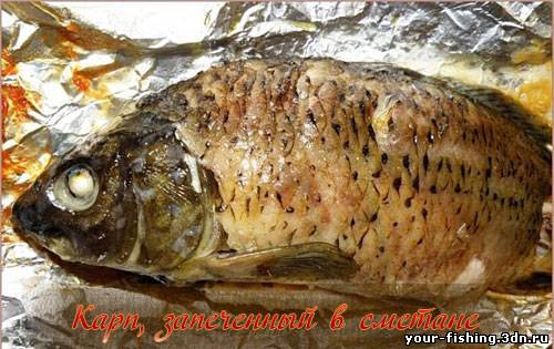 Карп, запеченный в сметане
