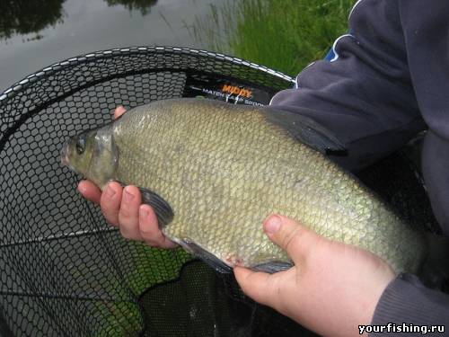 Ловля фидером с лодки на реке