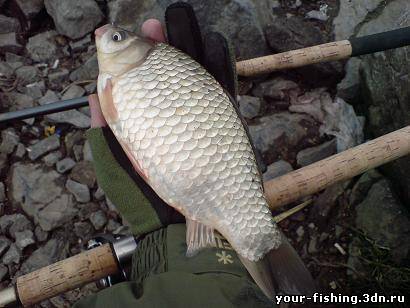 Озеро Сугояк. Ловля карася на фидер.