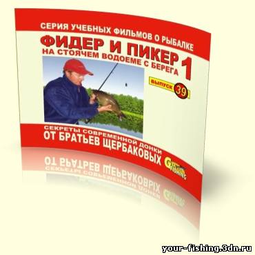 Ловля на фидер