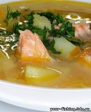 Уха двойная