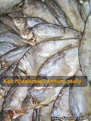 Как правильно вялить рыбу