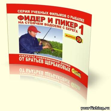 Фидер и пикер на стоячей воде.