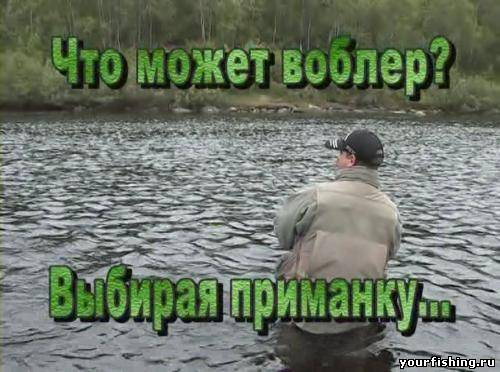 Серебряный ручей "Что может воблер?"