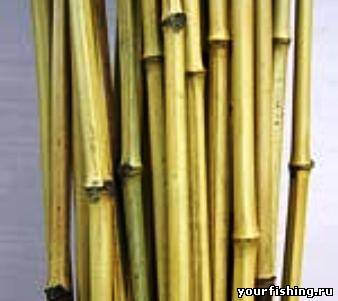 Бамбуковые удилища