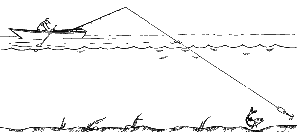 Ловля на дорожку.